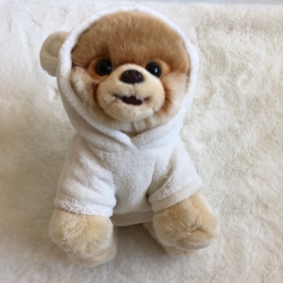 GUND/ Boo The World’s Cutest Dog - Picture 1 of 7
